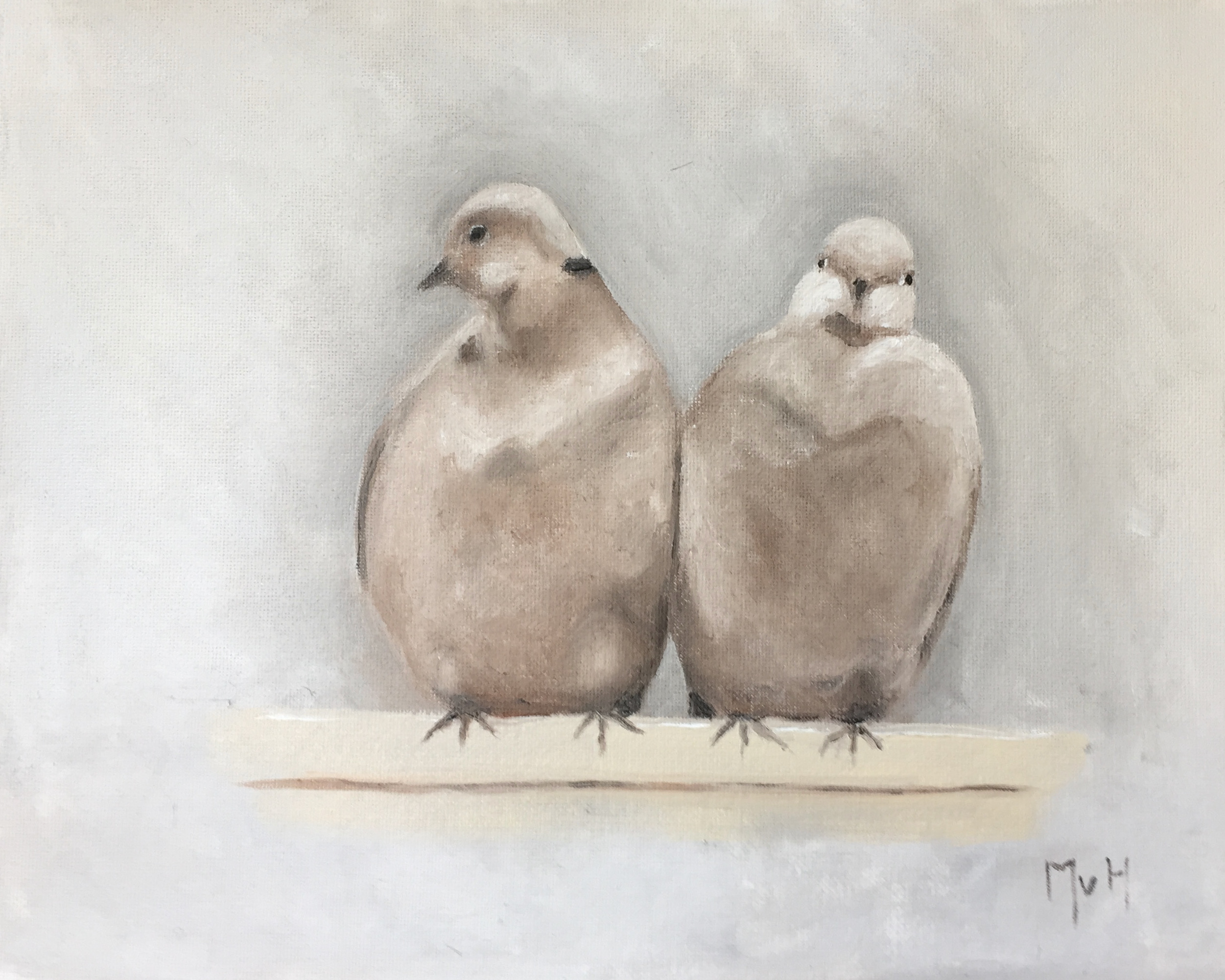 Turkish doves
